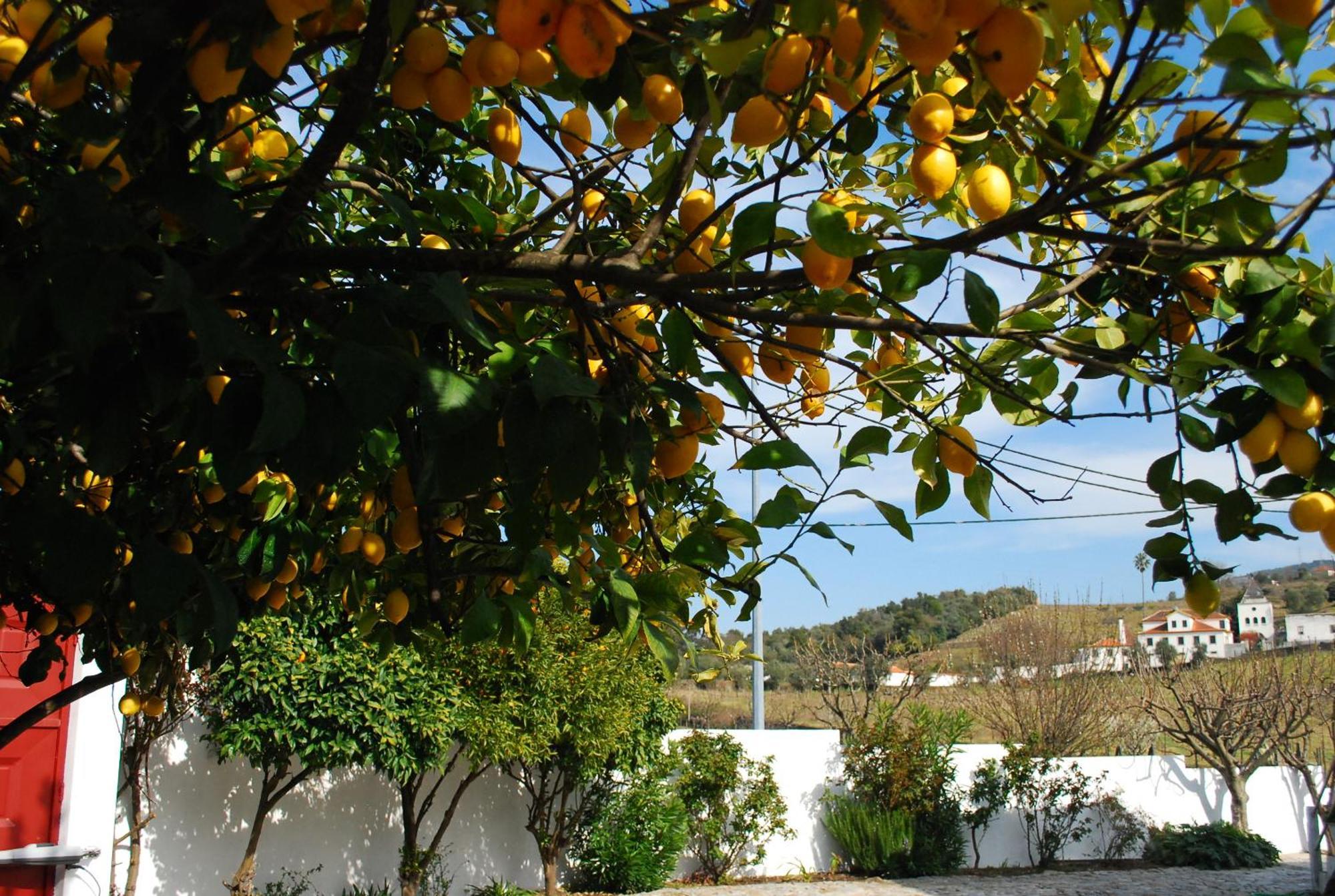 Villa Casa Relogio de Sol Lamego Exterior foto